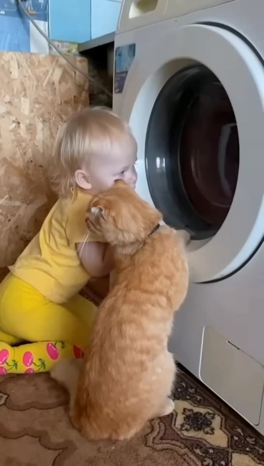 Funny and Cute Animals