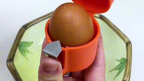 Egg Opener