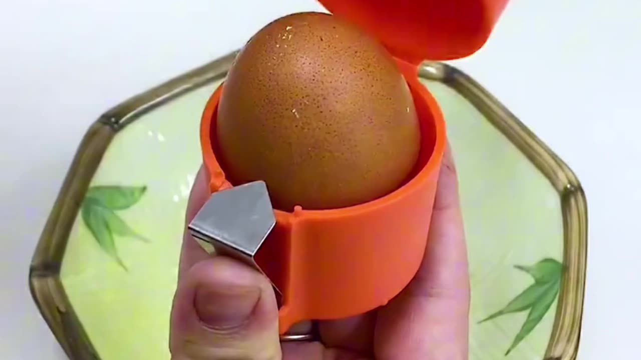 Egg Opener