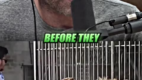 The Most HARMFUL Animal 😬 ft. Joe Rogan