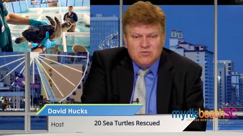 20 Sea Turtles rescued December 21st suffer from Cold-Stunning.