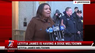 Letitia James Is Having A DOGE Meltdown