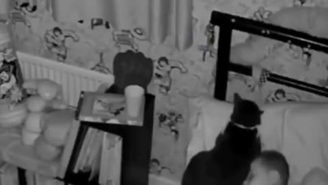 Owners couldn't figure out why the cat wasn't sleeping in its bed.. then they saw this..🐈🐾😊