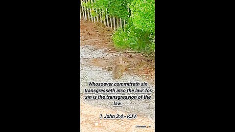 1 John 3:4 KJV