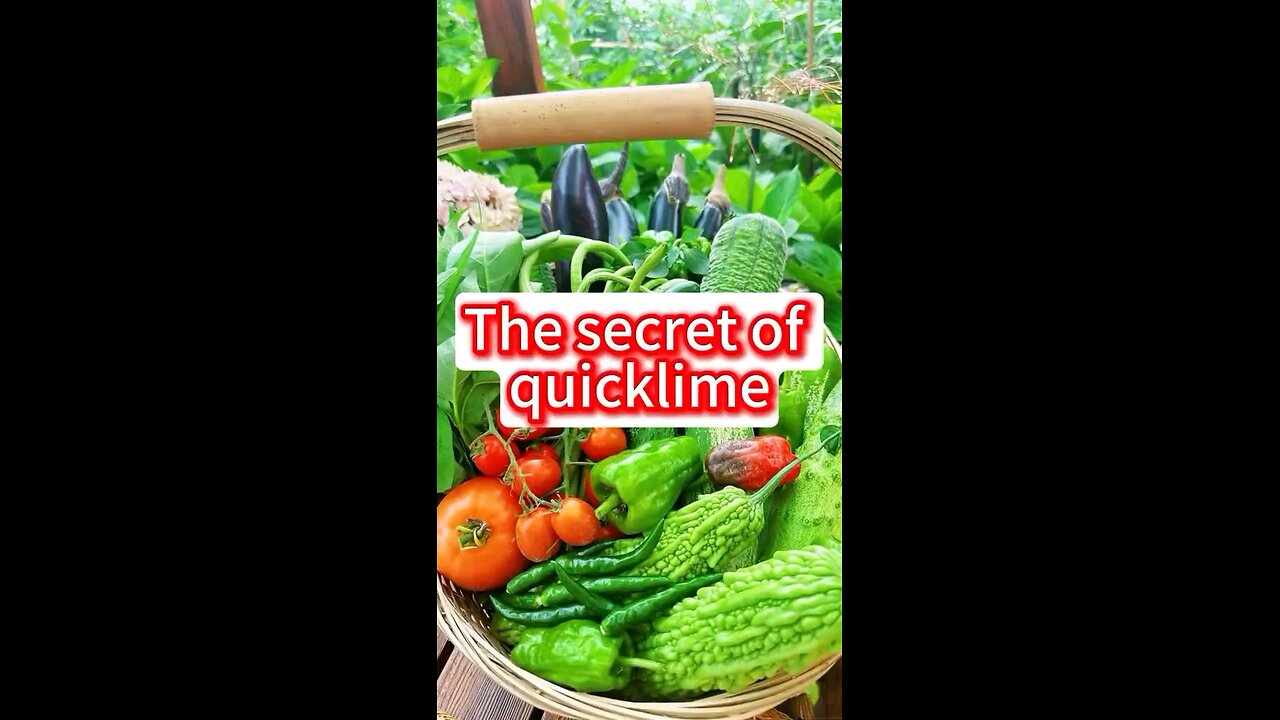 growing food tip