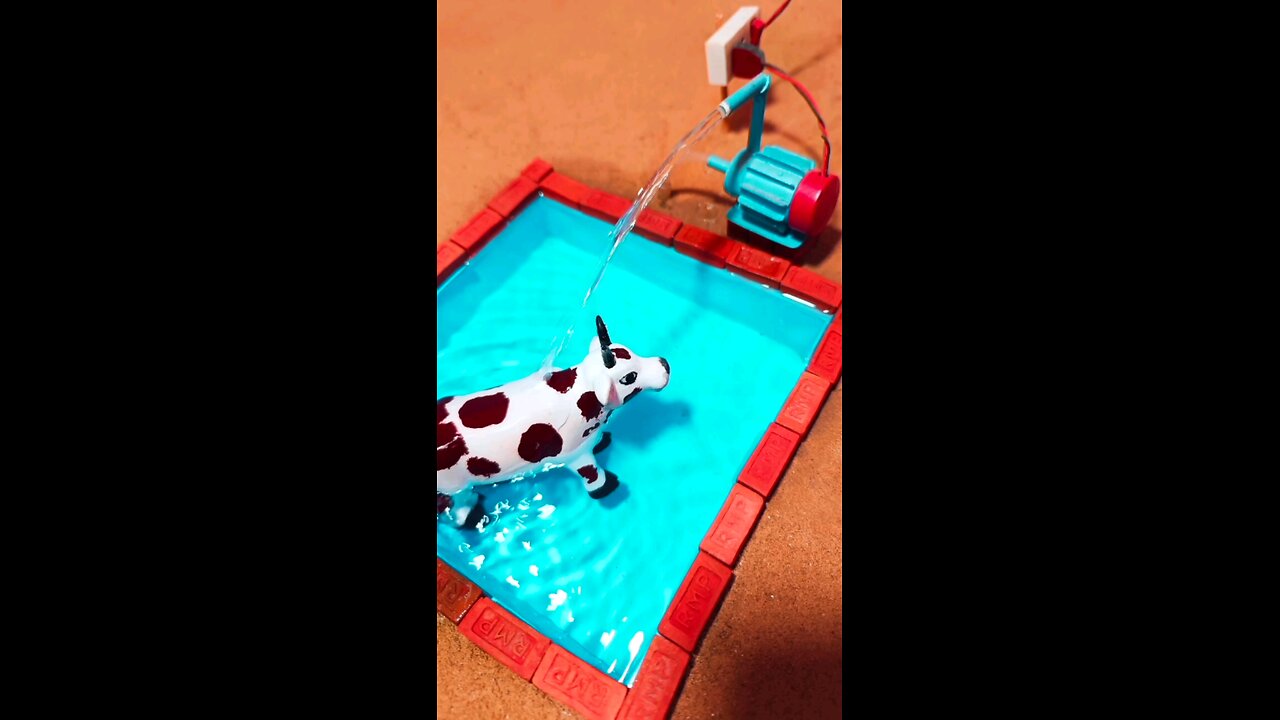 mini swimming pool project for a cow