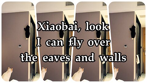 Xiaobai, look, I can fly over the eaves and walls