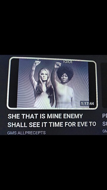 FEMINIST WOMEN "JEZEBEL BITCHES" ARE VILLAINS, EVIL BASTARDS, CORRUPT LEADERS, WHORES, AND SELLOUTS