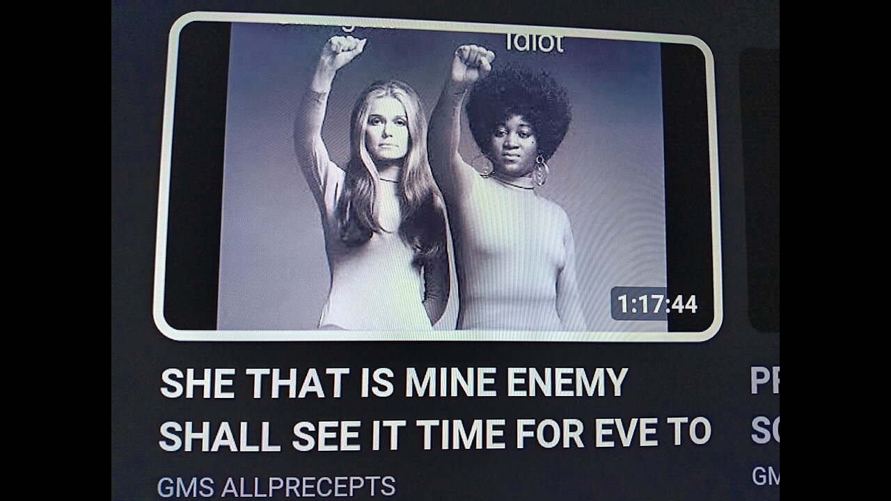 FEMINIST WOMEN "JEZEBEL BITCHES" ARE VILLAINS, EVIL BASTARDS, CORRUPT LEADERS, WHORES, AND SELLOUTS