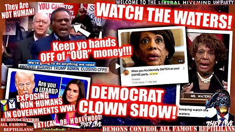 WATCH THE WATERS! PEEK-A-BOO TISH JAMES! DEM SHYTE-SHOW! LIZARDS AMONG US! (compilation)