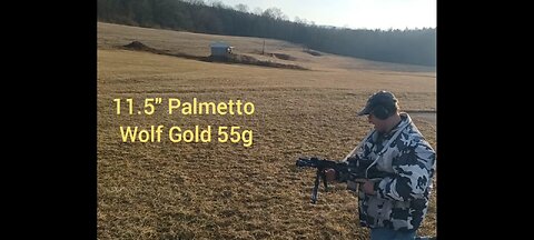 11.5" Palmetto at 400 yds with Wolf Gold 3.5 moa