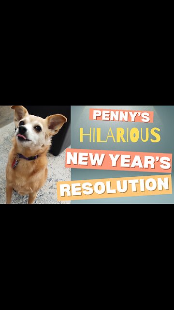 New Year's Resolution