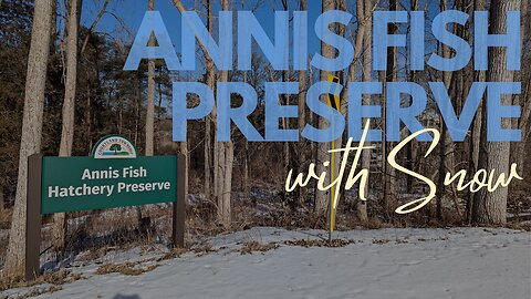 Snowy Hike at Annis Fish Hatchery Preserve | Full Hike POV | Hiking, Nature ASMR | Courtland Twp, MI