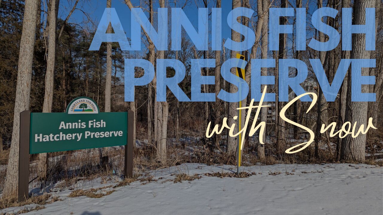 Snowy Hike at Annis Fish Hatchery Preserve | Full Hike POV | Hiking, Nature ASMR | Courtland Twp, MI
