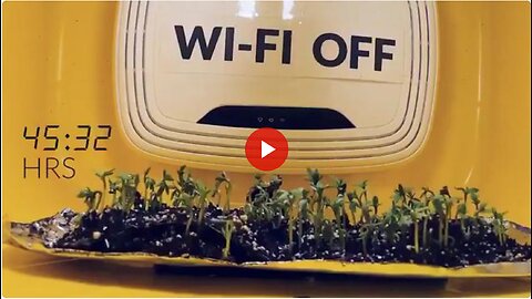 Can Wi-Fi or 5G Signals Stunt Plant, Human or Intelligence Growth? Research Before It Is Too Late!