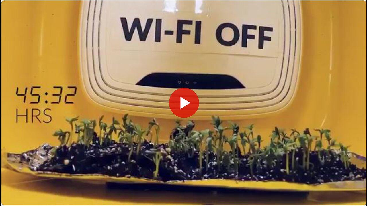 Can Wi-Fi or 5G Signals Stunt Plant, Human or Intelligence Growth? Research Before It Is Too Late!