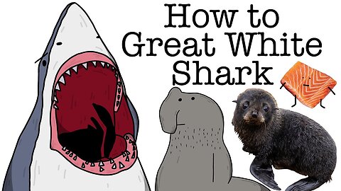 Your Life as a Great White Shark