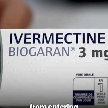 Ivermectin - Dr Mary Talley Bowden