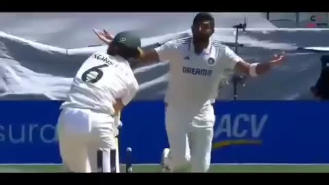 Australia vs India Heat Moment