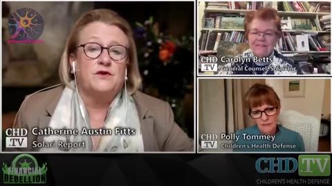 WHAT TRIGGERED THE LA FIRES, CATHERINE AUSTIN FITTS, POLLY TOMMEY, CAROLYN BETTS 2025
