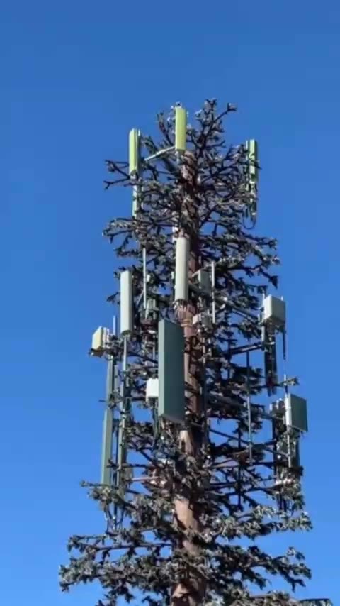 Radiacion Electro Magnetica - 5G