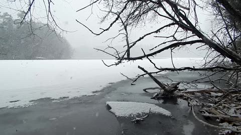 Heavy Snowfall in Nature