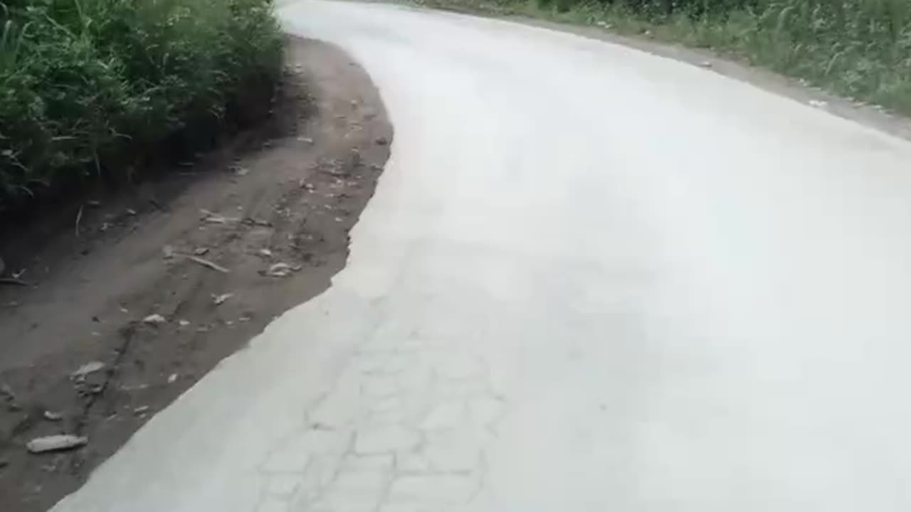 Jalan taman berkabut
