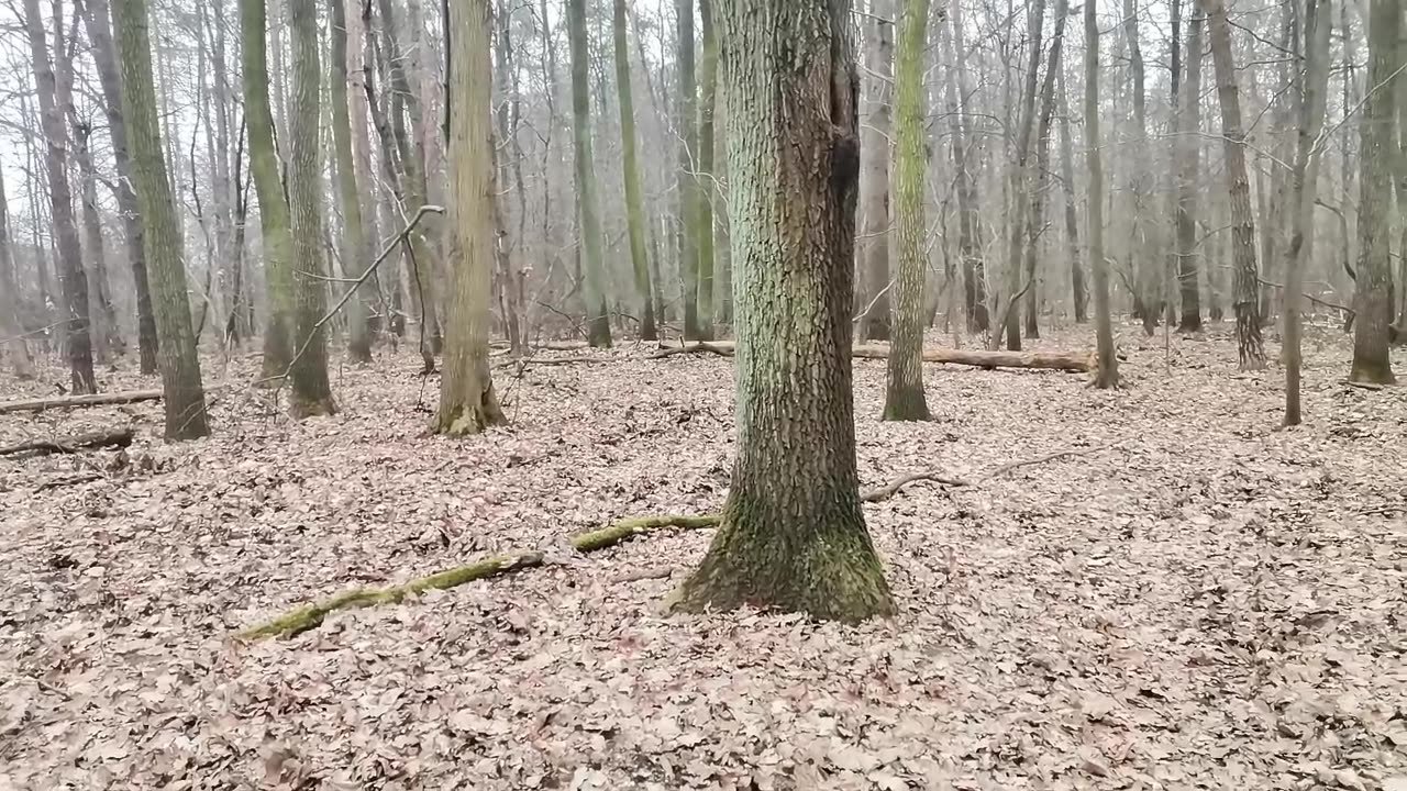 dzień dobroci dla siebie :):)