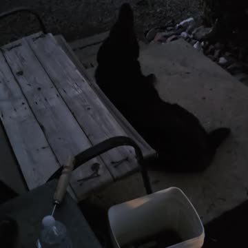 Random Music video "Mad Dash"