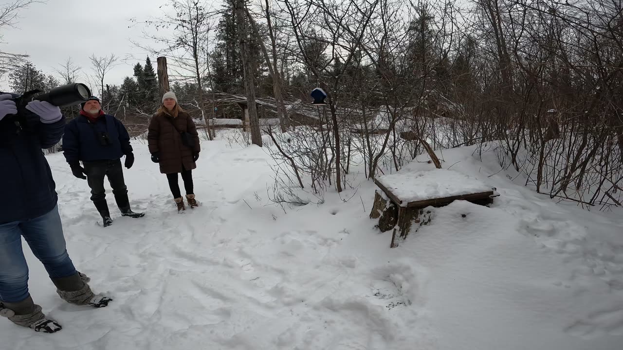 ❄️2025⛄03-01🏂-15🎿 Winter Wonderland Edition ☀️🌴 Hiking Jack Pine Trails Part 1 In Ottawa Canada 🍁☀️⛄