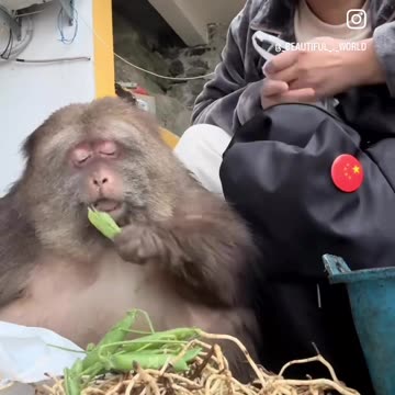 What you got in that bag 😊