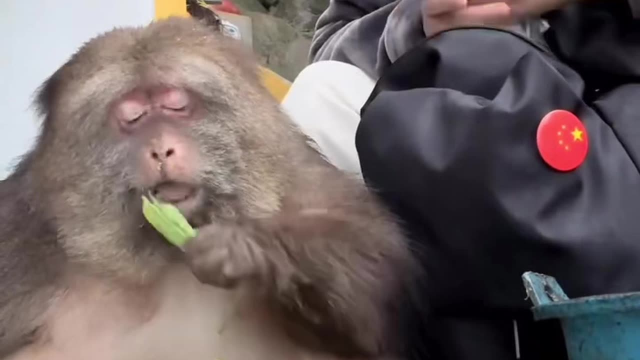 What you got in that bag 😊