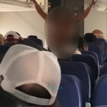 Female forces Southwest flight to return to gate after running n*ked