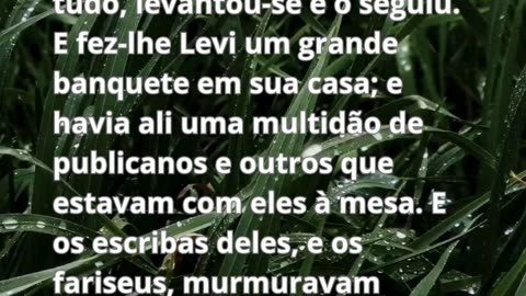 Leitura diárias da classe dos adultos - 20/02/2025