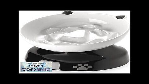 Y YHY Ceramic Cat Slow Feeder Elevated Cat Food Bowl Tilted Design Review