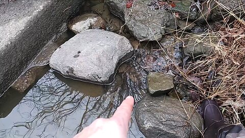 Setting Water Traps in PA