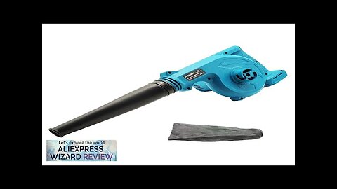 Cordless Leaf Blower for Computer Dust Collector Dust Snow Blowing Hand Power Review