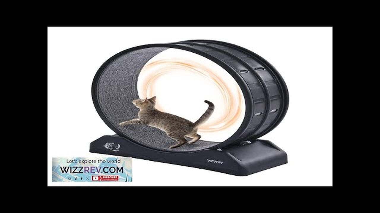 VEVOR Cat Exercise Wheel 31.5 in Large Indoor Cat Running Wheel Treadmill Review