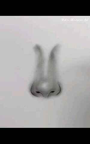 Como Dibujar una Naris