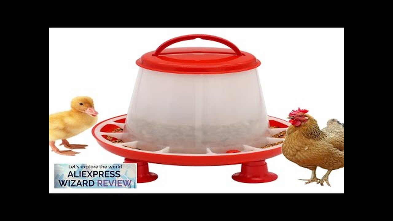 New 1.5kg Chicken Duck Feeder Bucket With Leg Poultry Food Fountain Chicken Review