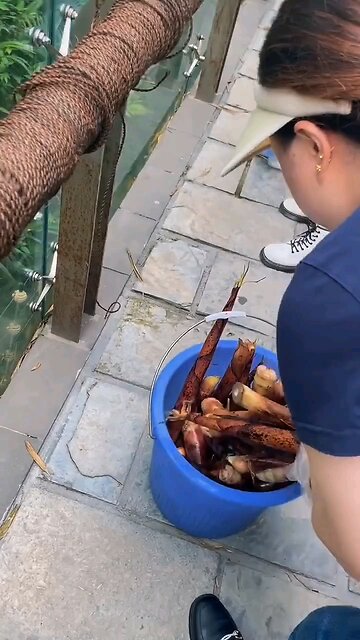 Pandas ... beautiful aren't they ...