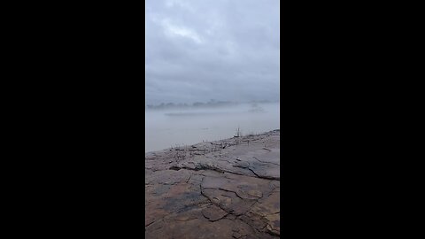 Barge In The Fog - 1/31/25