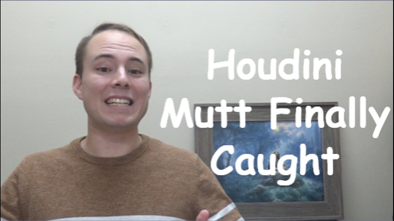 Houdini Mutt Finally Caught