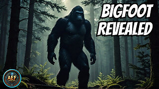 Discover the Secrets of BIGFOOT! #enigmacast Highlight