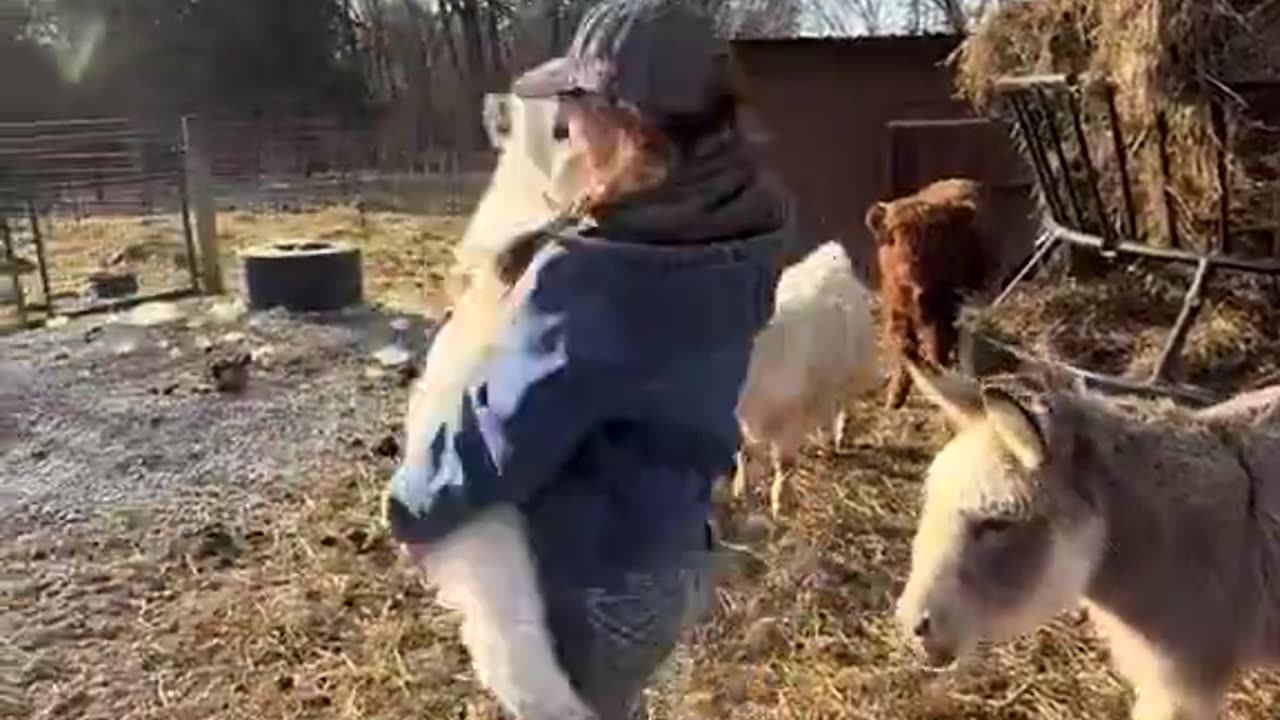 To love and to be loved is necessary for every living being