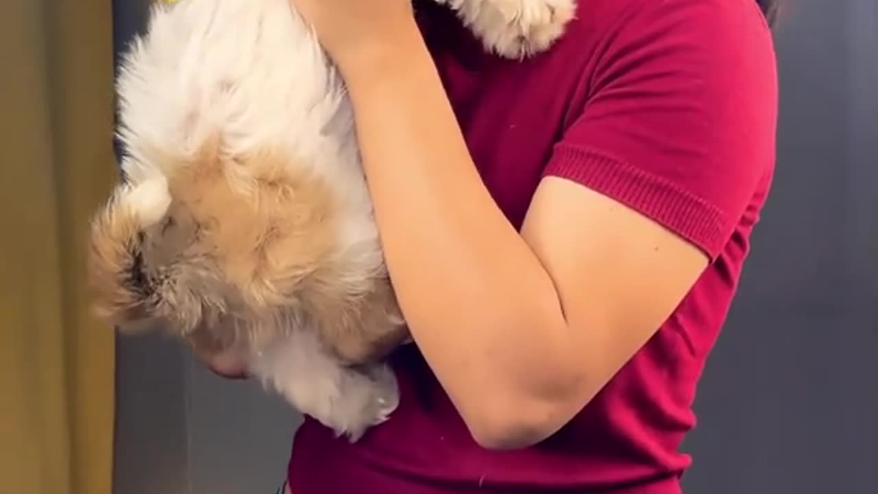 Mujhse Zaida Cute Hoo ❣️❣️❣️