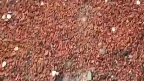Water Leak in Brick Wall