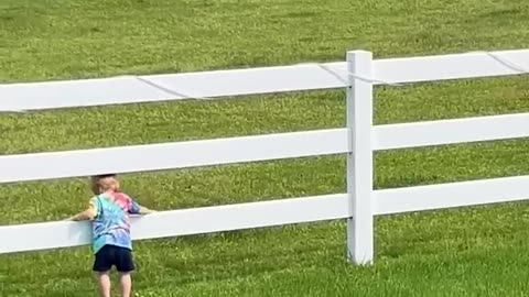 Cute Kiddo Summons Horse Herd!