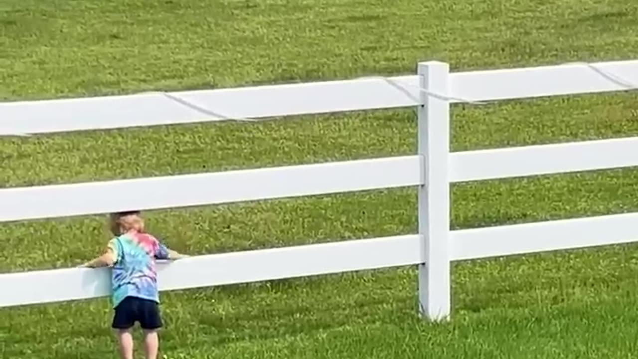 Cute Kiddo Summons Horse Herd!