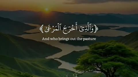 Subahanallah ♥️✨